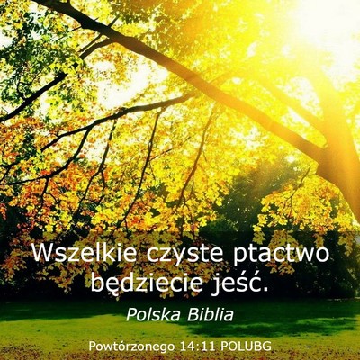 Picture 03 - Powtórzonego 14:11 POLUBG - Wszelkie czyste ptactwo będziecie - Bible Verse Picture