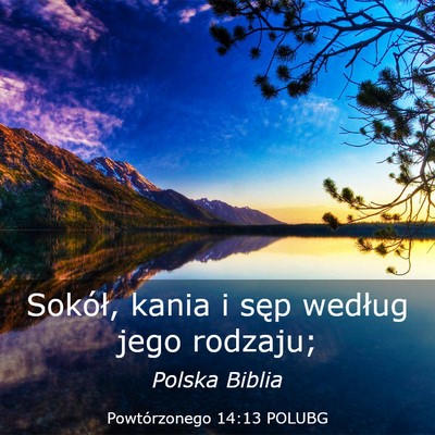 Picture 03 - Powtórzonego 14:13 POLUBG - Sokół, kania i sęp według jego - Bible Verse Picture