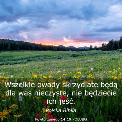 Picture 03 - Powtórzonego 14:19 POLUBG - Wszelkie owady skrzydlate będą dla was - Bible Verse Picture