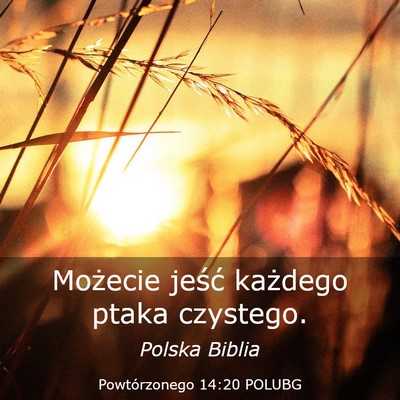 Picture 03 - Powtórzonego 14:20 POLUBG - Możecie jeść każdego ptaka - Bible Verse Picture