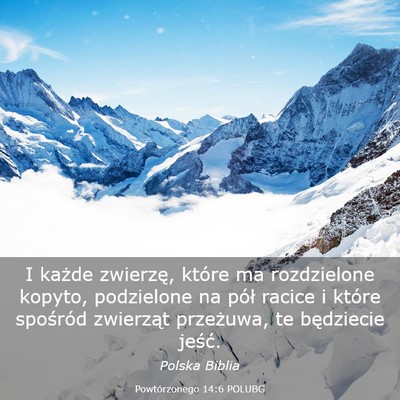 Picture 03 - Powtórzonego 14:6 POLUBG - I każde zwierzę, które ma rozdzielone kopyto, - Bible Verse Picture