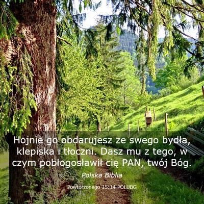 Picture 03 - Powtórzonego 15:14 POLUBG - Hojnie go obdarujesz ze swego bydła, klepiska i - Bible Verse Picture