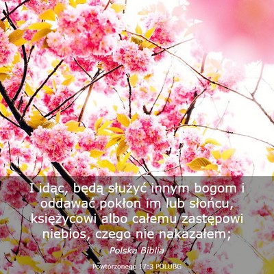 Picture 03 - Powtórzonego 17:3 POLUBG - I idąc, będą służyć innym bogom i oddawać - Bible Verse Picture