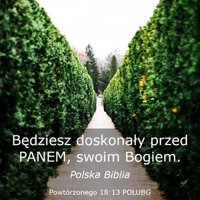Picture 03 - Powtórzonego 18:13 POLUBG - Będziesz doskonały przed PANEM, swoim - Bible Verse Picture