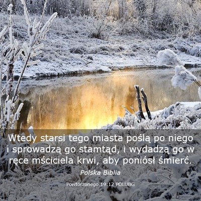 Picture 03 - Powtórzonego 19:12 POLUBG - Wtedy starsi tego miasta poślą po niego i - Bible Verse Picture