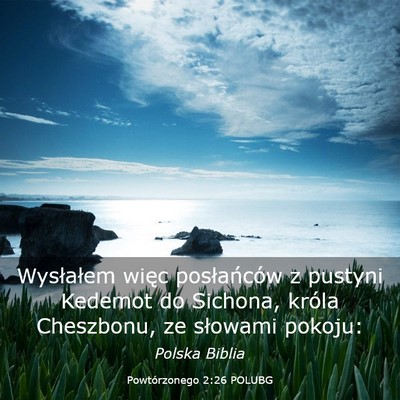 Picture 03 - Powtórzonego 2:26 POLUBG - Wysłałem więc posłańców z pustyni Kedemot - Bible Verse Picture