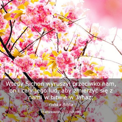 Picture 03 - Powtórzonego 2:32 POLUBG - Wtedy Sichon wyruszył przeciwko nam, on i cały - Bible Verse Picture