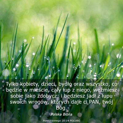 Picture 03 - Powtórzonego 20:14 POLUBG - Tylko kobiety, dzieci, bydło oraz wszystko, co - Bible Verse Picture