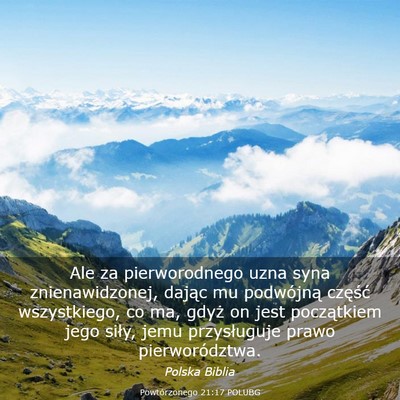 Picture 03 - Powtórzonego 21:17 POLUBG - Ale za pierworodnego uzna syna znienawidzonej, - Bible Verse Picture