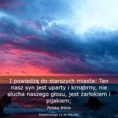 Picture 03 - Powtórzonego 21:20 POLUBG - I powiedzą do starszych miasta: Ten nasz syn - Bible Verse Picture