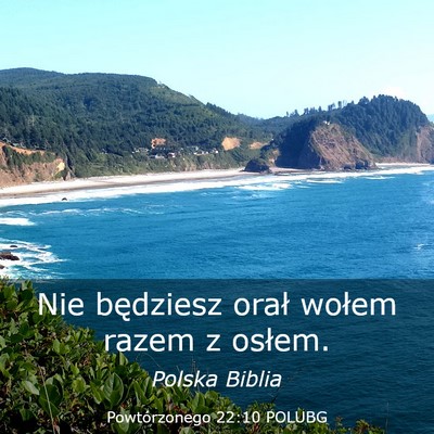 Picture 03 - Powtórzonego 22:10 POLUBG - Nie będziesz orał wołem razem z - Bible Verse Picture