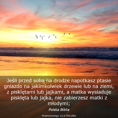 Picture 03 - Powtórzonego 22:6 POLUBG - Jeśli przed sobą na drodze napotkasz ptasie - Bible Verse Picture