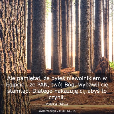 Picture 03 - Powtórzonego 24:18 POLUBG - Ale pamiętaj, że byłeś niewolnikiem w Egipcie - Bible Verse Picture