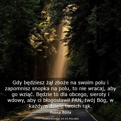 Picture 03 - Powtórzonego 24:19 POLUBG - Gdy będziesz żął zboże na swoim polu i - Bible Verse Picture