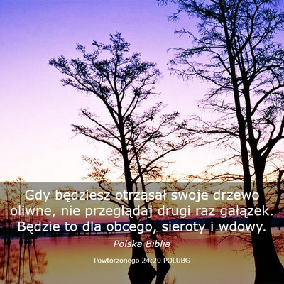 Picture 03 - Powtórzonego 24:20 POLUBG - Gdy będziesz otrząsał swoje drzewo oliwne, nie - Bible Verse Picture