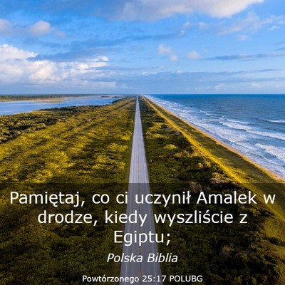 Picture 03 - Powtórzonego 25:17 POLUBG - Pamiętaj, co ci uczynił Amalek w drodze, kiedy - Bible Verse Picture