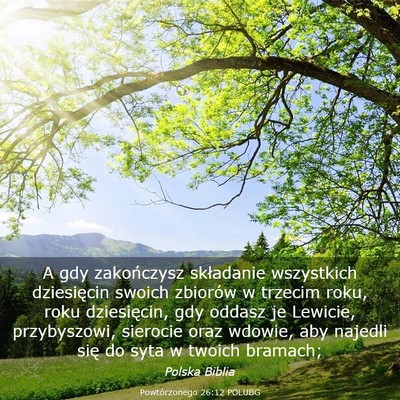 Picture 03 - Powtórzonego 26:12 POLUBG - A gdy zakończysz składanie wszystkich - Bible Verse Picture