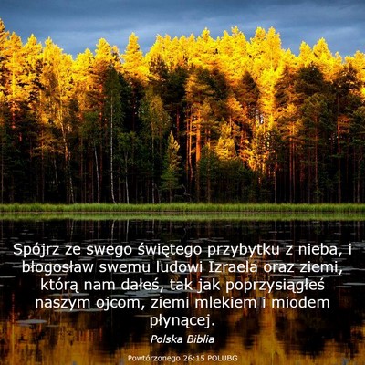Picture 03 - Powtórzonego 26:15 POLUBG - Spójrz ze swego świętego przybytku z nieba, i - Bible Verse Picture