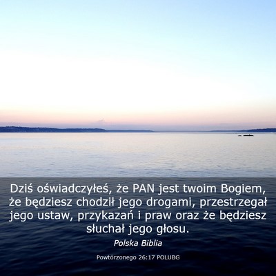 Picture 03 - Powtórzonego 26:17 POLUBG - Dziś oświadczyłeś, że PAN jest twoim Bogiem, - Bible Verse Picture