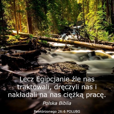 Picture 03 - Powtórzonego 26:6 POLUBG - Lecz Egipcjanie źle nas traktowali, dręczyli - Bible Verse Picture