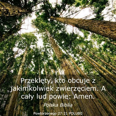 Picture 03 - Powtórzonego 27:21 POLUBG - Przeklęty, kto obcuje z jakimkolwiek - Bible Verse Picture