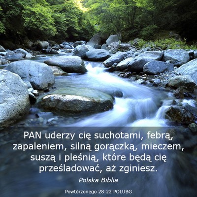 Picture 03 - Powtórzonego 28:22 POLUBG - PAN uderzy cię suchotami, febrą, zapaleniem, - Bible Verse Picture
