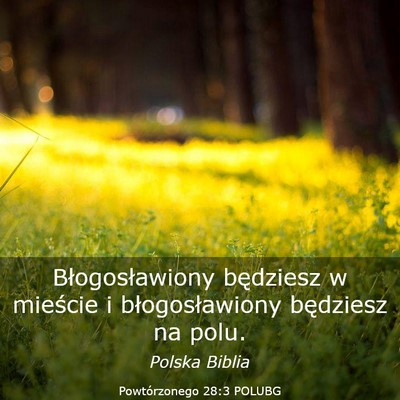 Picture 03 - Powtórzonego 28:3 POLUBG - Błogosławiony będziesz w mieście i - Bible Verse Picture