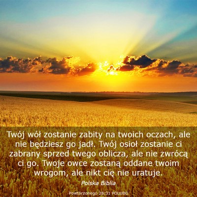 Picture 03 - Powtórzonego 28:31 POLUBG - Twój wół zostanie zabity na twoich oczach, ale - Bible Verse Picture