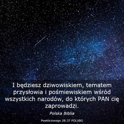 Picture 03 - Powtórzonego 28:37 POLUBG - I będziesz dziwowiskiem, tematem przysłowia i - Bible Verse Picture