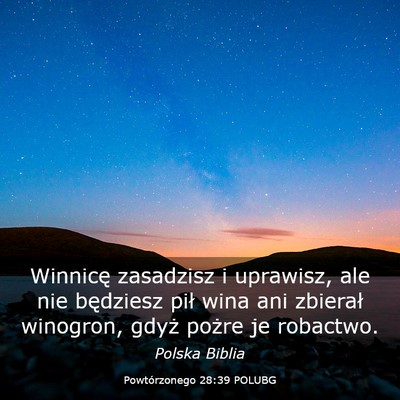Picture 03 - Powtórzonego 28:39 POLUBG - Winnicę zasadzisz i uprawisz, ale nie będziesz - Bible Verse Picture