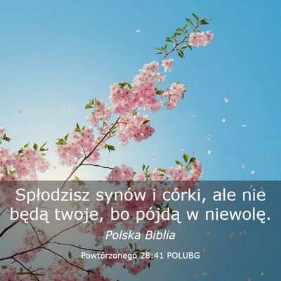 Picture 03 - Powtórzonego 28:41 POLUBG - Spłodzisz synów i córki, ale nie będą twoje, - Bible Verse Picture