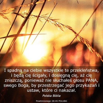 Picture 03 - Powtórzonego 28:45 POLUBG - I spadną na ciebie wszystkie te przekleństwa, i - Bible Verse Picture