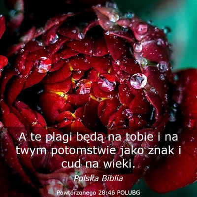 Picture 03 - Powtórzonego 28:46 POLUBG - A te plagi będą na tobie i na twym potomstwie - Bible Verse Picture