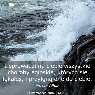 Picture 03 - Powtórzonego 28:60 POLUBG - I sprowadzi na ciebie wszystkie choroby egipskie, - Bible Verse Picture
