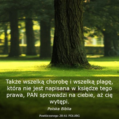 Picture 03 - Powtórzonego 28:61 POLUBG - Także wszelką chorobę i wszelką plagę, - Bible Verse Picture