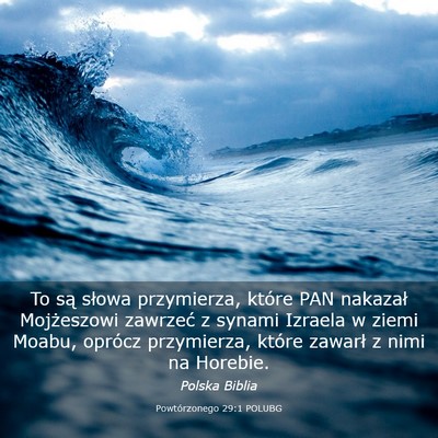 Picture 03 - Powtórzonego 29:1 POLUBG - To są słowa przymierza, które PAN nakazał - Bible Verse Picture
