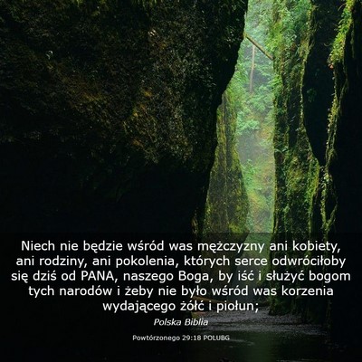 Picture 03 - Powtórzonego 29:18 POLUBG - Niech nie będzie wśród was mężczyzny ani - Bible Verse Picture