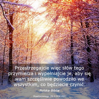 Picture 03 - Powtórzonego 29:9 POLUBG - Przestrzegajcie więc słów tego przymierza i - Bible Verse Picture