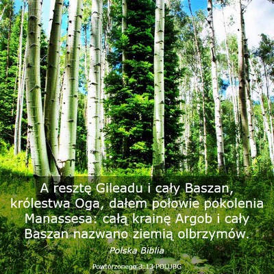 Picture 03 - Powtórzonego 3:13 POLUBG - A resztę Gileadu i cały Baszan, królestwa Oga, - Bible Verse Picture