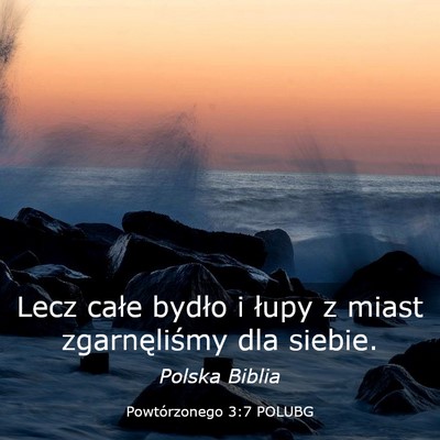 Picture 03 - Powtórzonego 3:7 POLUBG - Lecz całe bydło i łupy z miast zgarnęliśmy - Bible Verse Picture