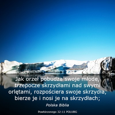 Picture 03 - Powtórzonego 32:11 POLUBG - Jak orzeł pobudza swoje młode, trzepocze - Bible Verse Picture