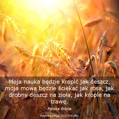 Picture 03 - Powtórzonego 32:2 POLUBG - Moja nauka będzie kropić jak deszcz, moja mowa - Bible Verse Picture