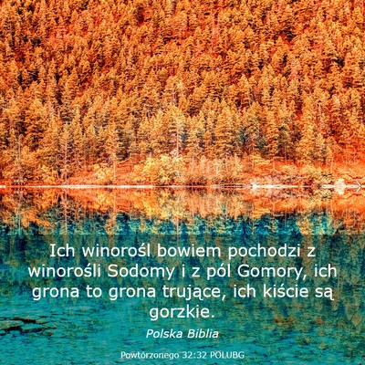 Picture 03 - Powtórzonego 32:32 POLUBG - Ich winorośl bowiem pochodzi z winorośli Sodomy - Bible Verse Picture