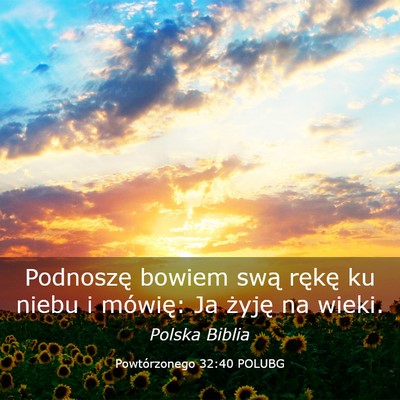 Picture 03 - Powtórzonego 32:40 POLUBG - Podnoszę bowiem swą rękę ku niebu i mówię: - Bible Verse Picture