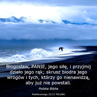 Picture 03 - Powtórzonego 33:11 POLUBG - Błogosław, PANIE, jego siłę, i przyjmij - Bible Verse Picture