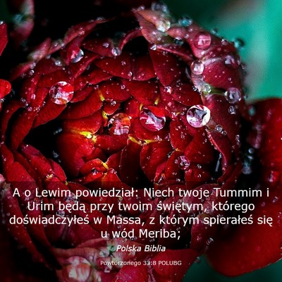 Picture 03 - Powtórzonego 33:8 POLUBG - A o Lewim powiedział: Niech twoje Tummim i Urim - Bible Verse Picture