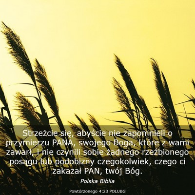 Picture 03 - Powtórzonego 4:23 POLUBG - Strzeżcie się, abyście nie zapomnieli o - Bible Verse Picture