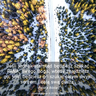 Picture 03 - Powtórzonego 4:29 POLUBG - Jeśli jednak stamtąd będziesz szukać PANA, - Bible Verse Picture
