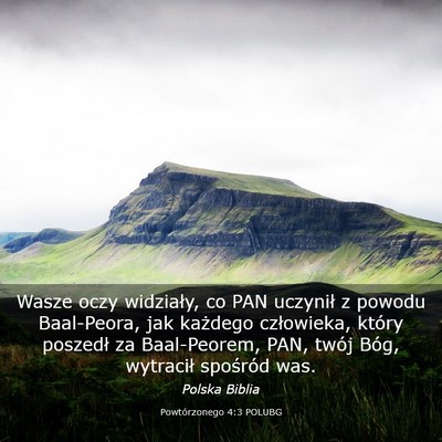Picture 03 - Powtórzonego 4:3 POLUBG - Wasze oczy widziały, co PAN uczynił z powodu - Bible Verse Picture