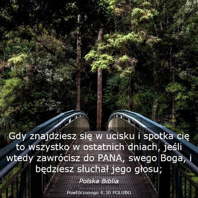 Picture 03 - Powtórzonego 4:30 POLUBG - Gdy znajdziesz się w ucisku i spotka cię to - Bible Verse Picture